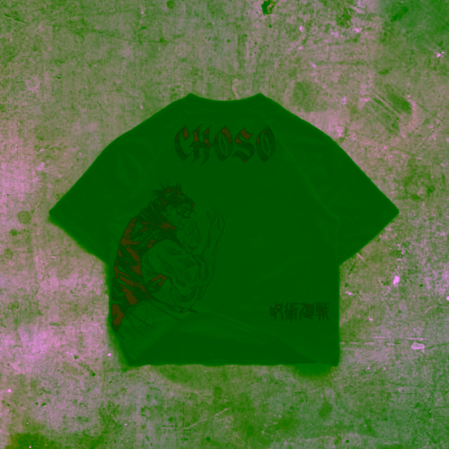 CHOSO